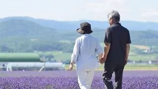 当日がお得！シニア向け飛行機割引をご存知ですか？